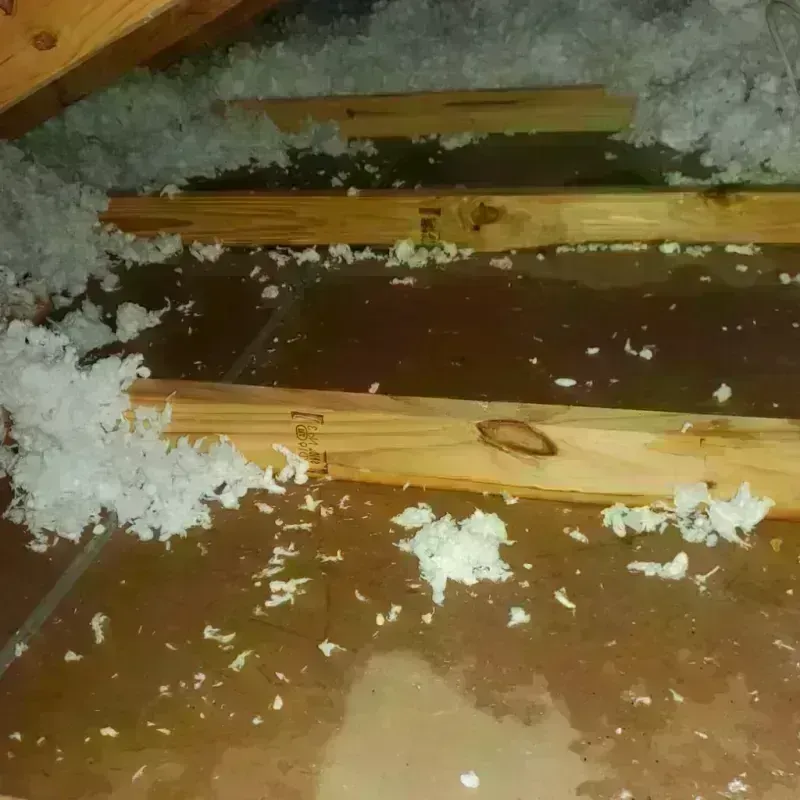 Attic Water Damage in Liberty, NY